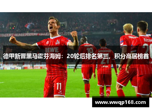 德甲新晋黑马霍芬海姆：20轮后排名第三，积分高居榜首
